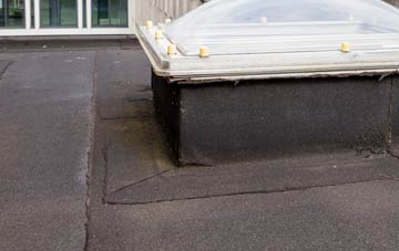 disadvantages of Dyce flat roofs